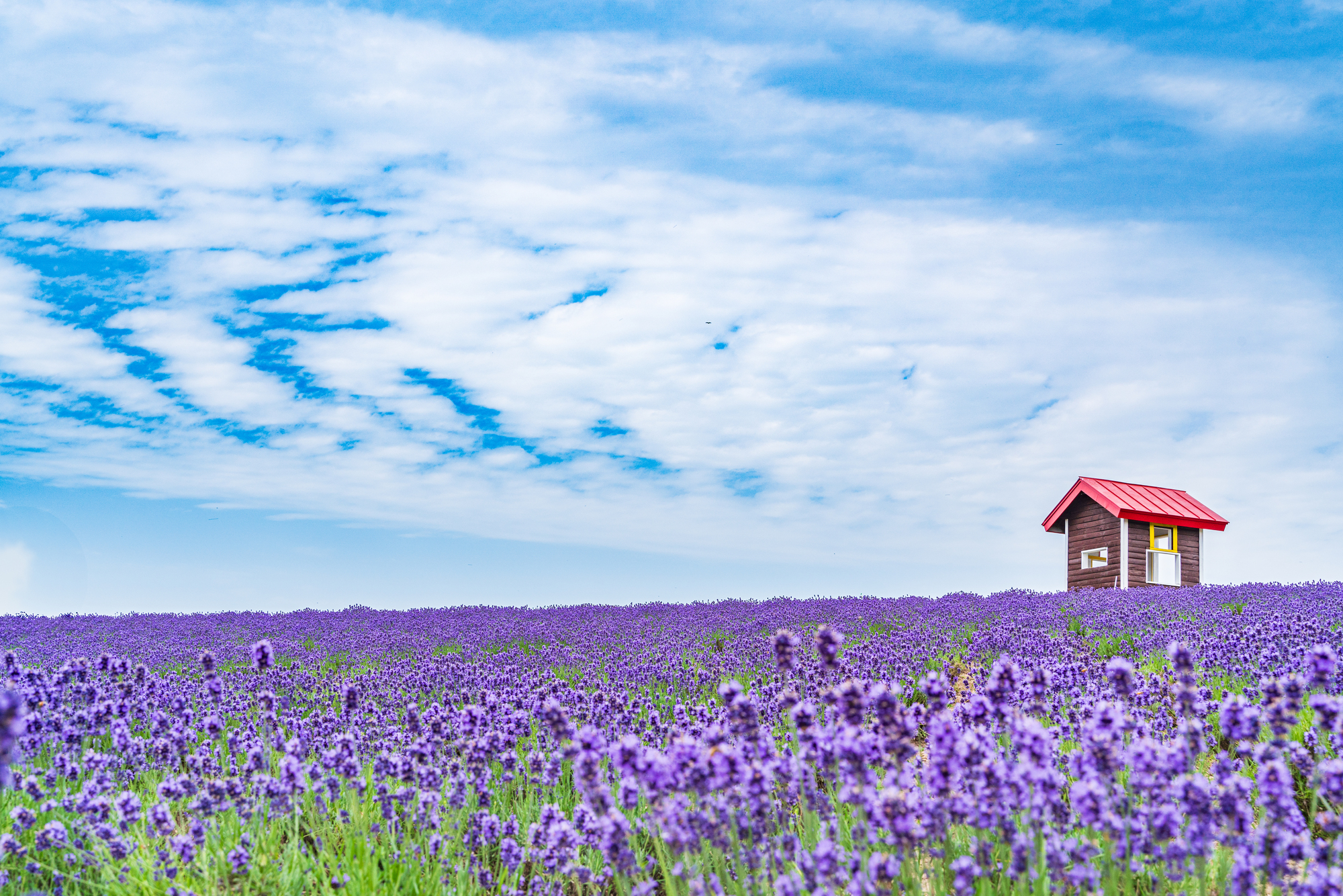 企業理念のイメージ